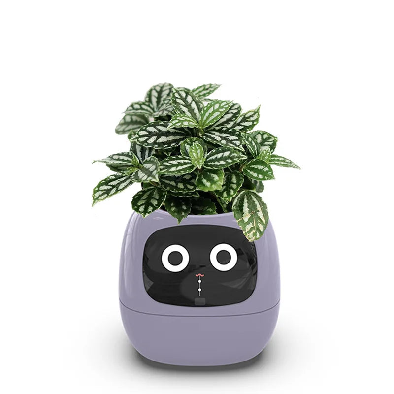 "Ivy Smart Planter: 7 Expressions, 7 Sensors, and AI Magic – Making Plant Care Fun & Effortless!