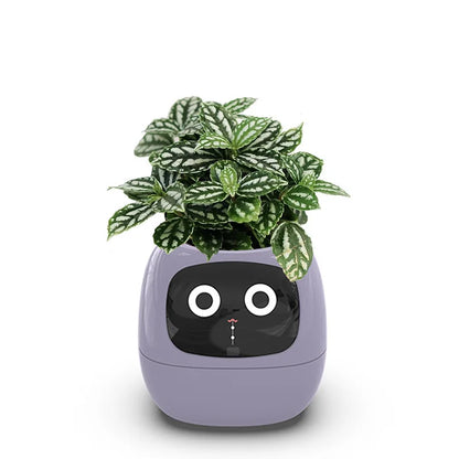 "Ivy Smart Planter: 7 Expressions, 7 Sensors, and AI Magic – Making Plant Care Fun & Effortless!