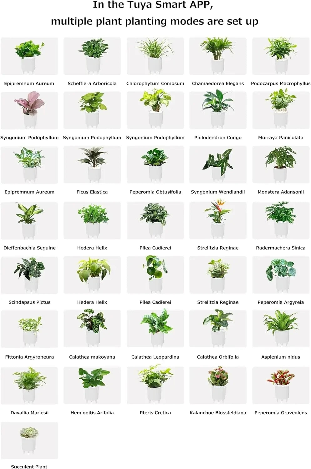 "Ivy Smart Planter: 7 Expressions, 7 Sensors, and AI Magic – Making Plant Care Fun & Effortless!