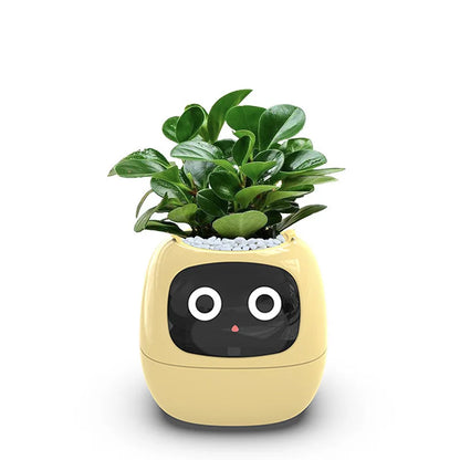 "Ivy Smart Planter: 7 Expressions, 7 Sensors, and AI Magic – Making Plant Care Fun & Effortless!