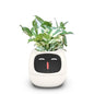 "Ivy Smart Planter: 7 Expressions, 7 Sensors, and AI Magic – Making Plant Care Fun & Effortless!