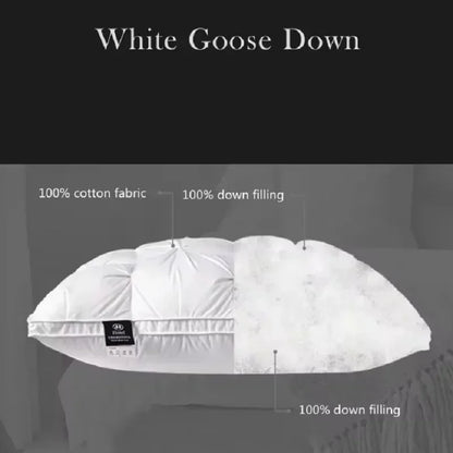Five-star Hotel Washable and Health Pillow.